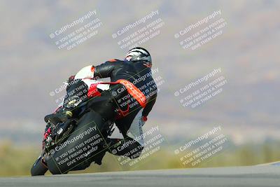 media/Jan-13-2024-SoCal Trackdays (Sat) [[9c032fe5aa]]/Turn 9 Backside (110pm)/